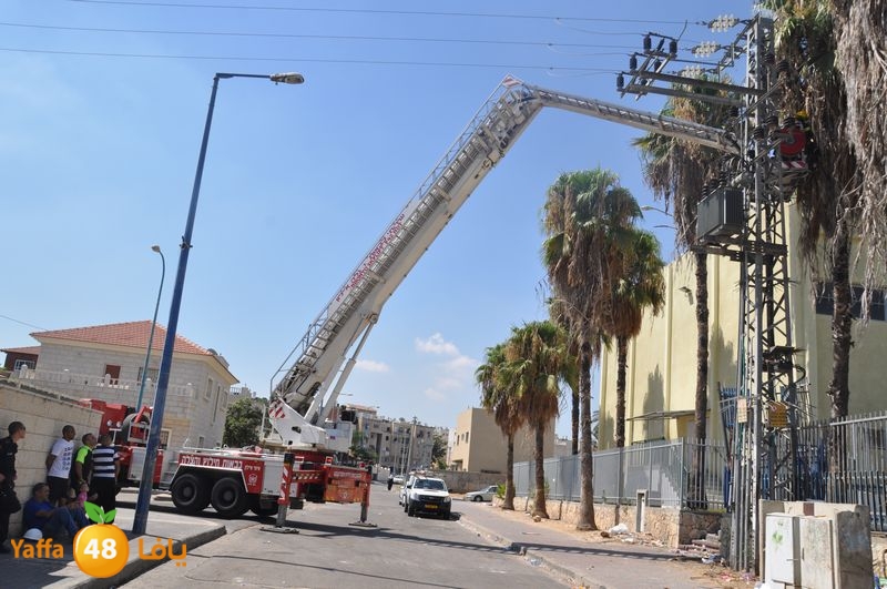 cat lud 910 (16).JPG